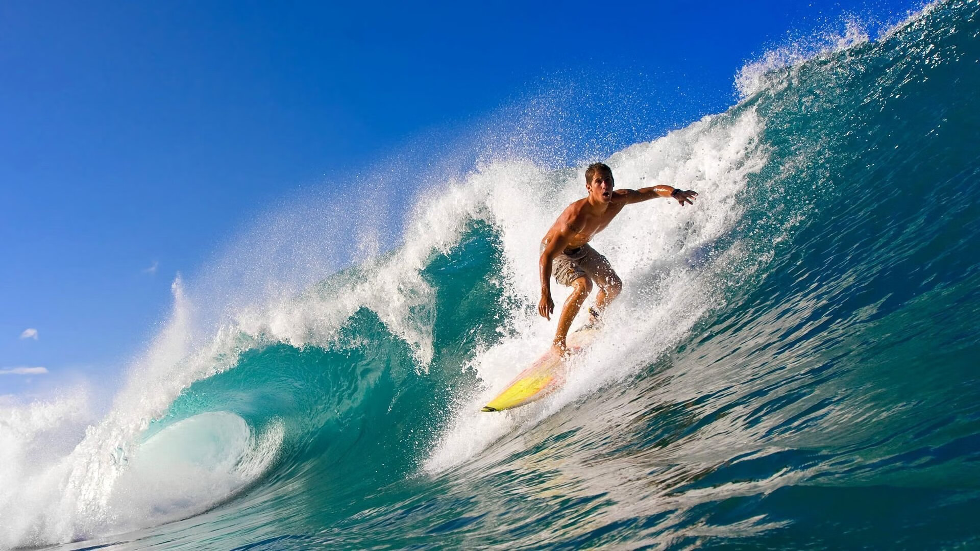 李恩:用出色的防守和精准的传球,他在中场位置上为全黑队提供保障